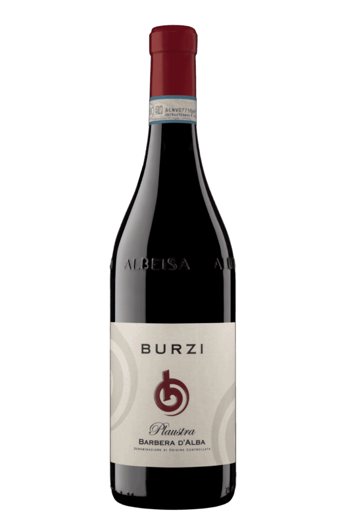 Barbera d'Alba Plautra Alberto Burzi